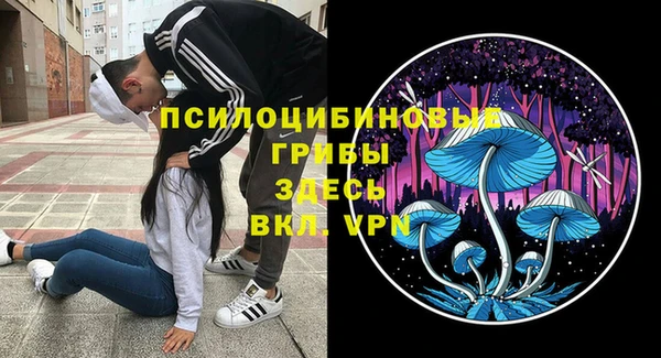 mdpv Богородицк