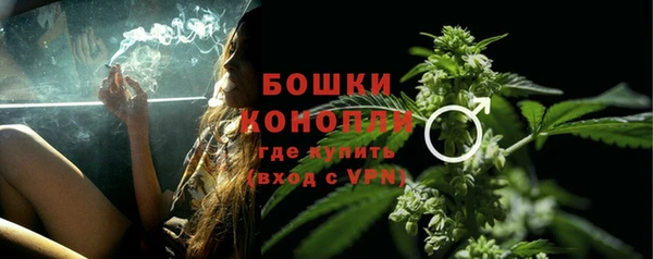 мдпв Богданович