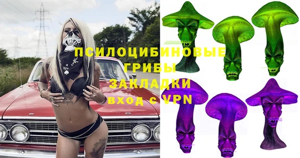 mdpv Богородицк