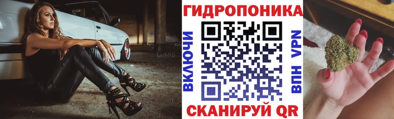 Канабис гибрид Кириллов